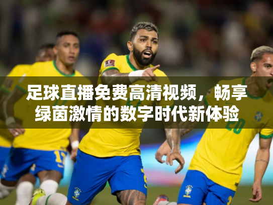 足球直播免费高清视频，畅享绿茵激情的数字时代新体验