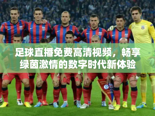 足球直播免费高清视频，畅享绿茵激情的数字时代新体验
