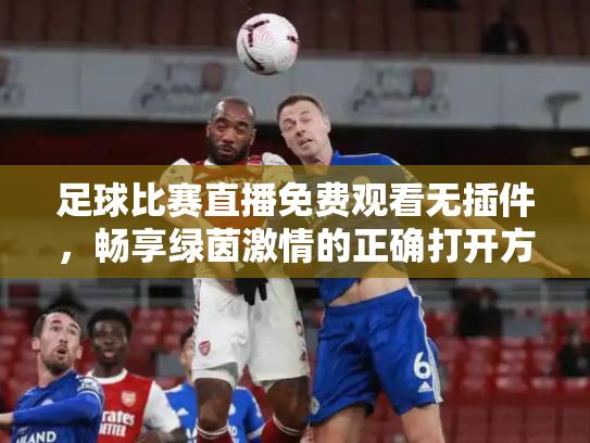 足球比赛直播免费观看无插件，畅享绿茵激情的正确打开方式