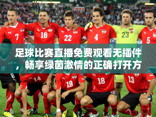 足球比赛直播免费观看无插件，畅享绿茵激情的正确打开方式