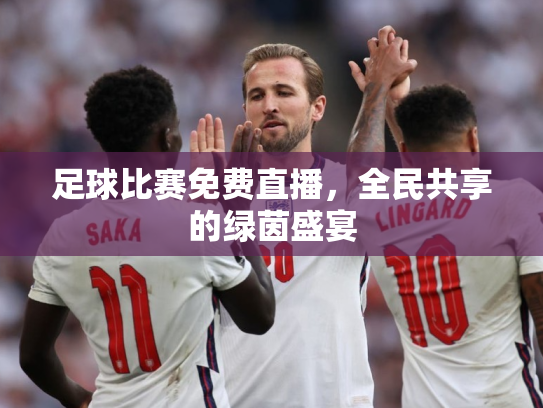 足球比赛免费直播，全民共享的绿茵盛宴