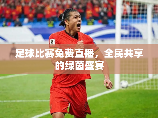 足球比赛免费直播，全民共享的绿茵盛宴