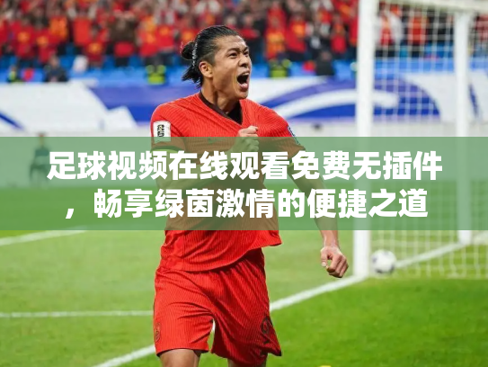 足球视频在线观看免费无插件，畅享绿茵激情的便捷之道