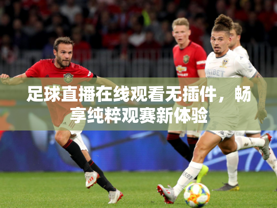 足球直播在线观看无插件，畅享纯粹观赛新体验