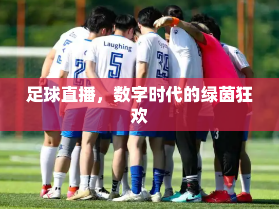 足球直播，数字时代的绿茵狂欢