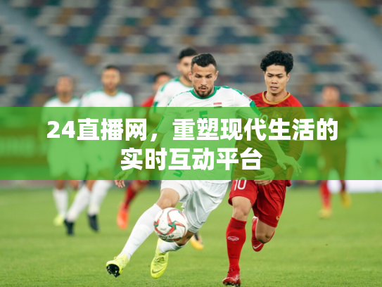 24直播网，重塑现代生活的实时互动平台