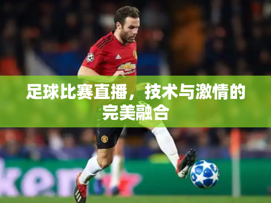 足球比赛直播，技术与激情的完美融合