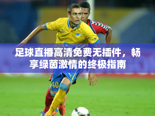足球直播高清免费无插件，畅享绿茵激情的终极指南