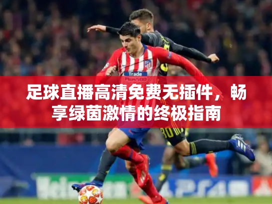 足球直播高清免费无插件，畅享绿茵激情的终极指南