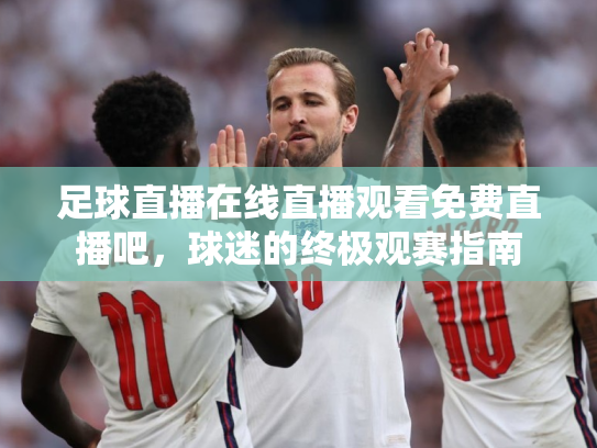 足球直播在线直播观看免费直播吧，球迷的终极观赛指南