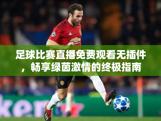 足球比赛直播免费观看无插件，畅享绿茵激情的终极指南