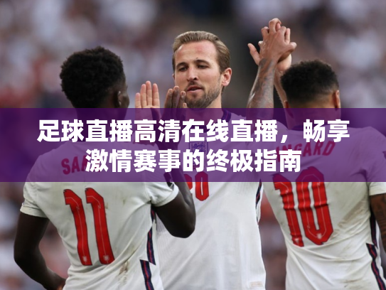 足球直播高清在线直播，畅享激情赛事的终极指南