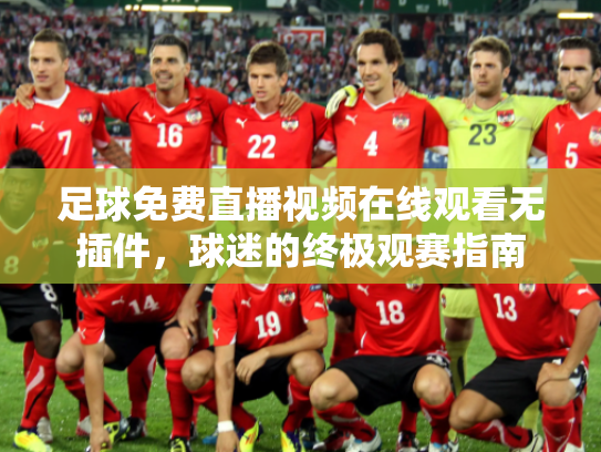 足球免费直播视频在线观看无插件，球迷的终极观赛指南