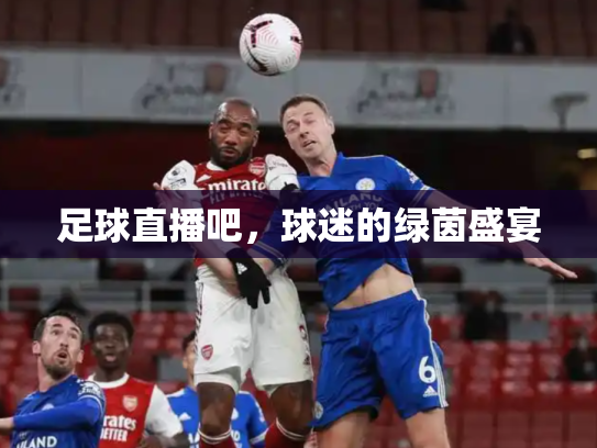 足球直播吧，球迷的绿茵盛宴