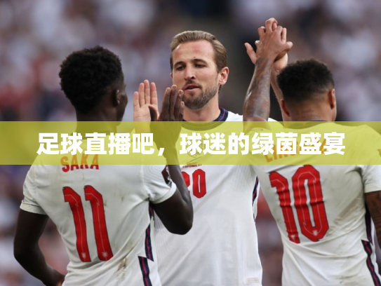 足球直播吧，球迷的绿茵盛宴