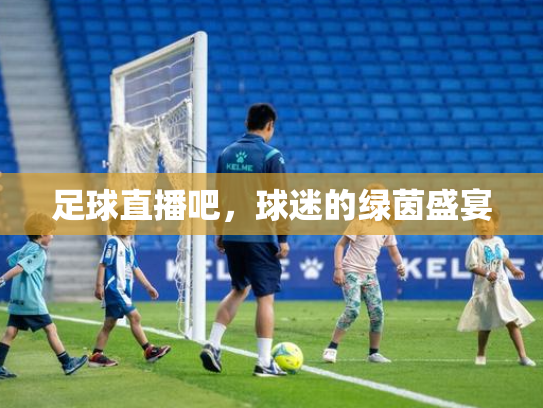 足球直播吧，球迷的绿茵盛宴
