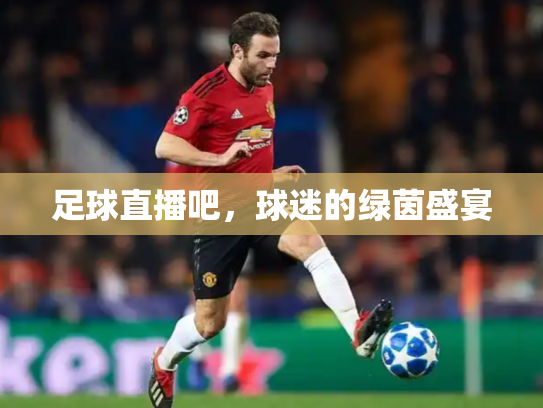 足球直播吧，球迷的绿茵盛宴