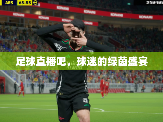 足球直播吧，球迷的绿茵盛宴