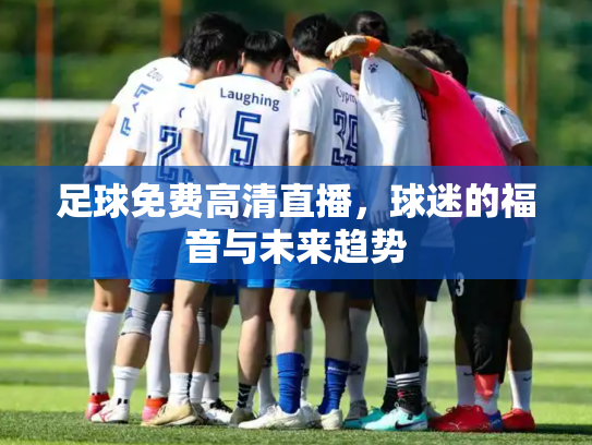足球免费高清直播，球迷的福音与未来趋势
