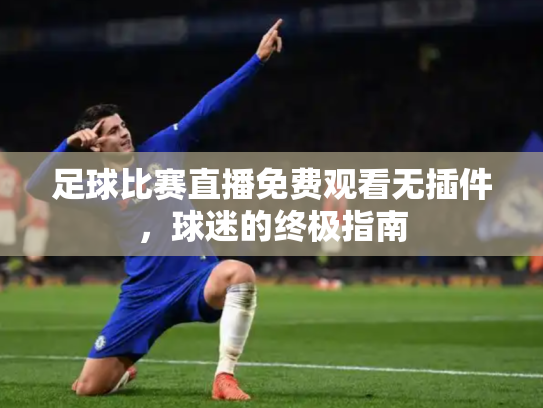 足球比赛直播免费观看无插件，球迷的终极指南