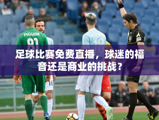 足球比赛免费直播，球迷的福音还是商业的挑战？