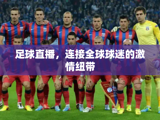 足球直播，连接全球球迷的激情纽带