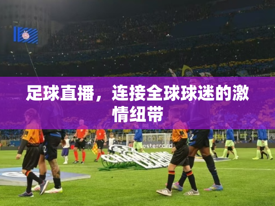 足球直播，连接全球球迷的激情纽带