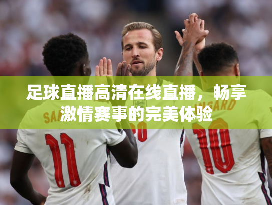 足球直播高清在线直播，畅享激情赛事的完美体验