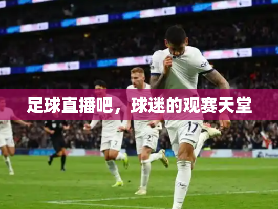 足球直播吧，球迷的观赛天堂