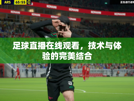 足球直播在线观看，技术与体验的完美结合