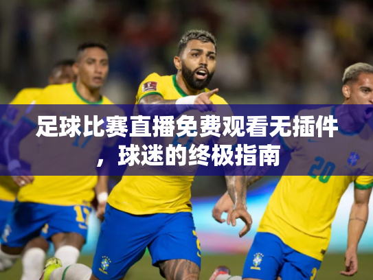 足球比赛直播免费观看无插件，球迷的终极指南