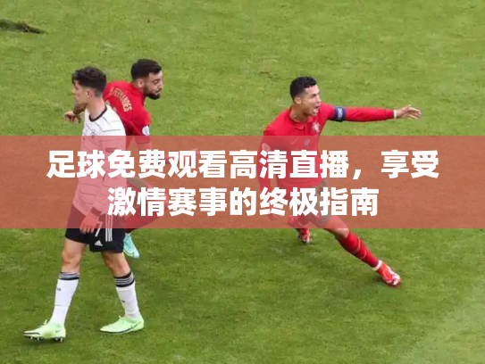 足球免费观看高清直播，享受激情赛事的终极指南