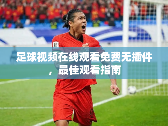 足球视频在线观看免费无插件，最佳观看指南