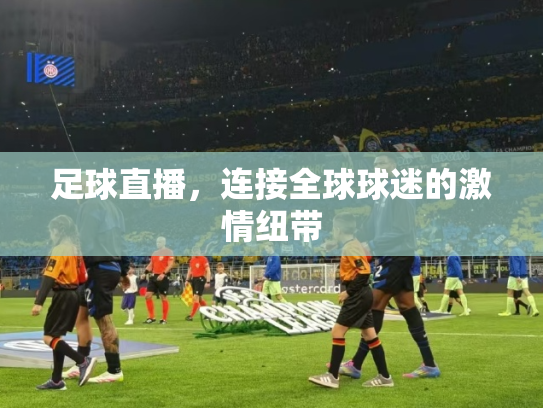 足球直播，连接全球球迷的激情纽带