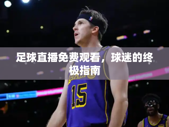 足球直播免费观看，球迷的终极指南