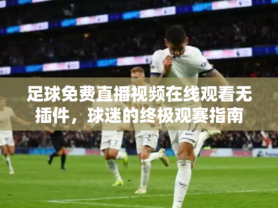 足球免费直播视频在线观看无插件，球迷的终极观赛指南