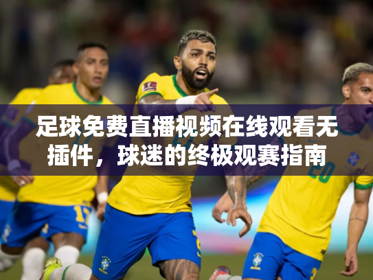 足球免费直播视频在线观看无插件，球迷的终极观赛指南