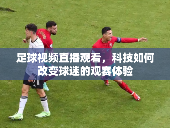 足球视频直播观看，科技如何改变球迷的观赛体验