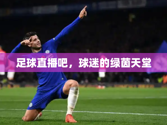 足球直播吧，球迷的绿茵天堂