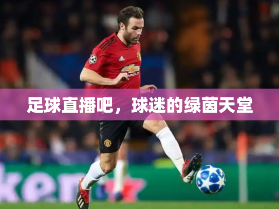 足球直播吧，球迷的绿茵天堂