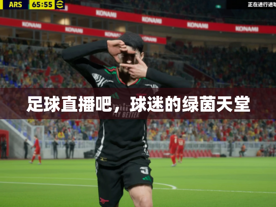 足球直播吧，球迷的绿茵天堂