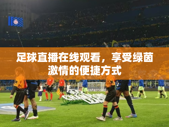 足球直播在线观看，享受绿茵激情的便捷方式