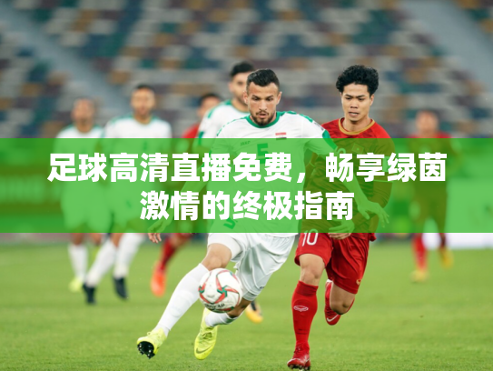足球高清直播免费，畅享绿茵激情的终极指南
