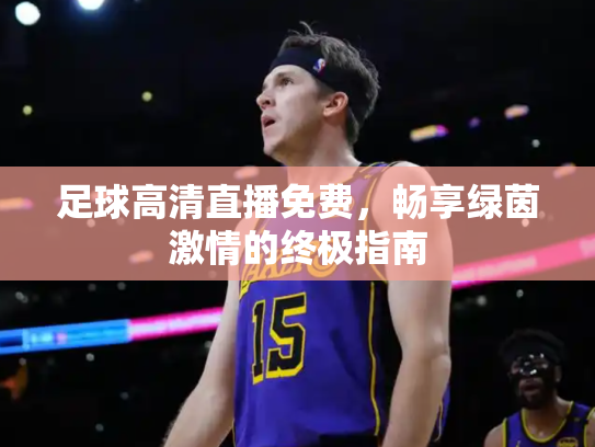 足球高清直播免费，畅享绿茵激情的终极指南