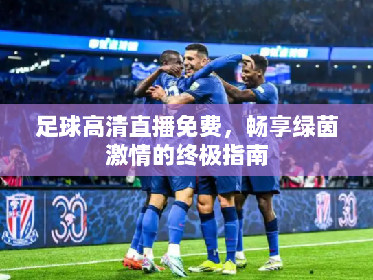 足球高清直播免费，畅享绿茵激情的终极指南