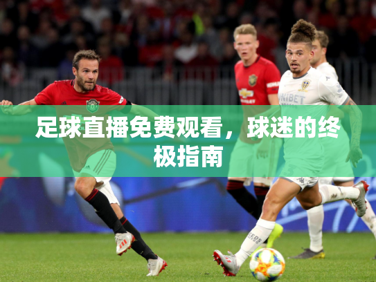 足球直播免费观看，球迷的终极指南