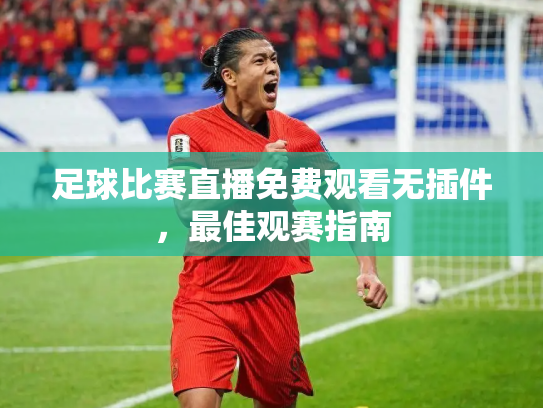 足球比赛直播免费观看无插件，最佳观赛指南