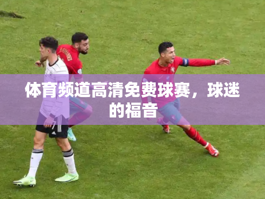 体育频道高清免费球赛，球迷的福音