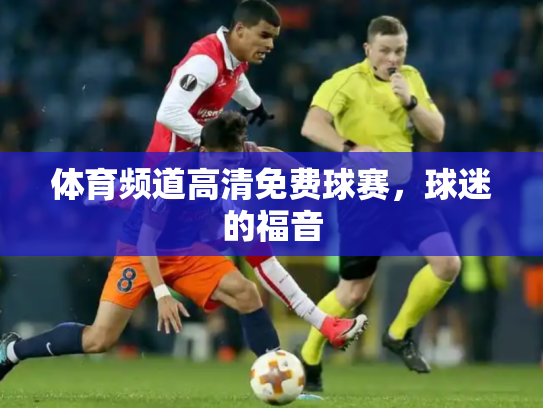 体育频道高清免费球赛，球迷的福音