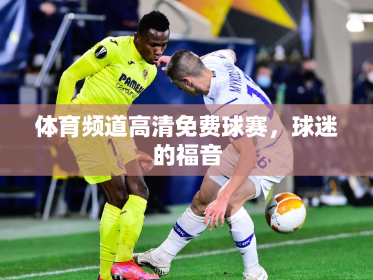 体育频道高清免费球赛，球迷的福音